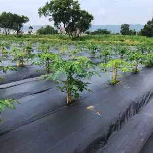 農地覆蓋與防護資材